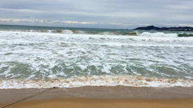大海