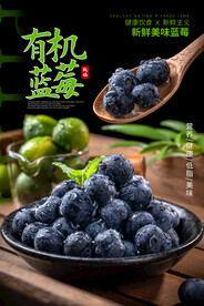 有机蓝莓水果活动宣传海报素材