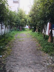 景德镇小路