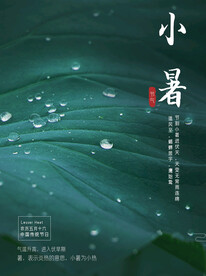 小暑海报 