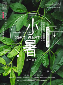 小暑海报 
