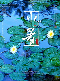 小暑海报 