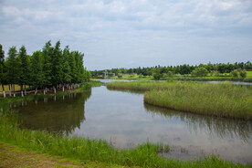 湖南松雅湖国家湿地公园