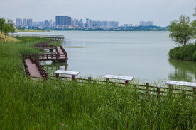 湖南松雅湖国家湿地公园
