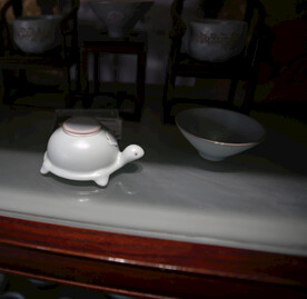 茶宠