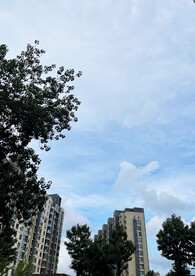 城市天空