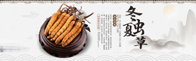 中国风淘宝冬虫夏草海报