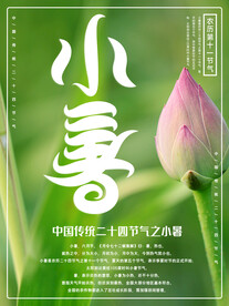 小暑海报 