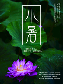 小暑海报