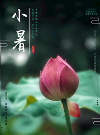 小暑海报