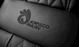 皮质上logo样机效果展示