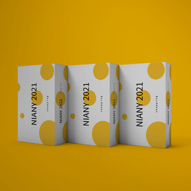 几何图形包装盒纸盒PSD样机