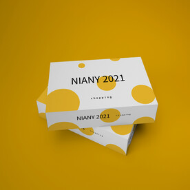 几何图形纸盒包装盒展示样机