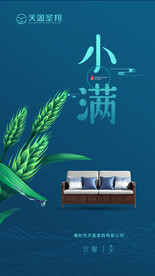 24节气  小满 家具海报