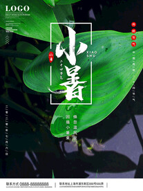 小暑海报 