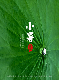 小暑海报 