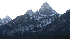 山