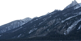 山