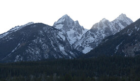 山
