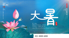 大暑海报 
