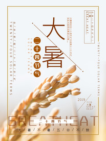 大暑海报 