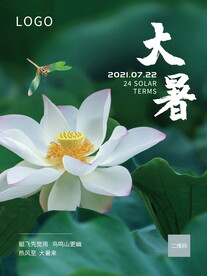 大暑海报 