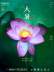  大暑海报 