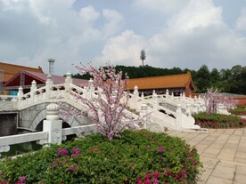 宫殿 古代 皇宫