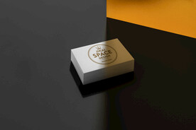 纸张笔记名片品牌VI样机