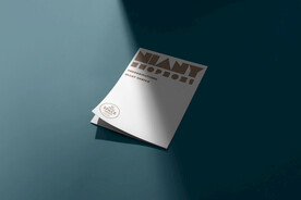 纸张笔记名片品牌VI样机