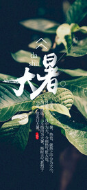 24节气之大暑海报设计图片