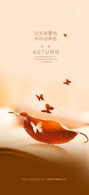 立秋海报