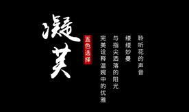 文字排版