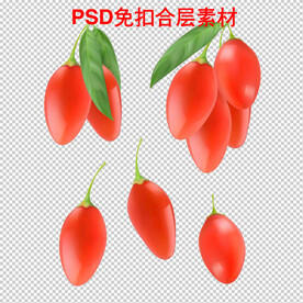 枸杞