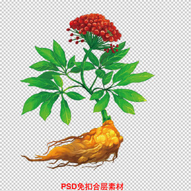 人参