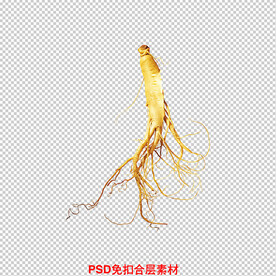 人参