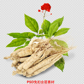人参