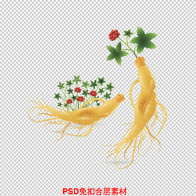 人参