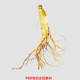 人参