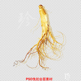 人参