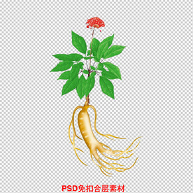 人参
