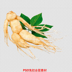 人参