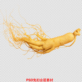 人参