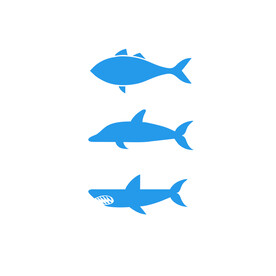 海洋生物 蓝色鱼 鲸鱼 鲨鱼 