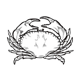 蟹