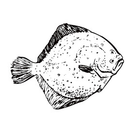 鱼