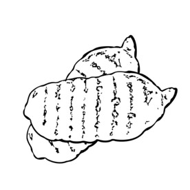 天麻