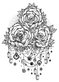 玫瑰花