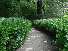 公园小路