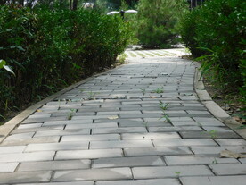 公园小路